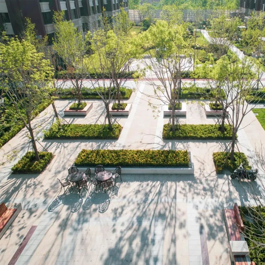 易境庭院,易境自然景观