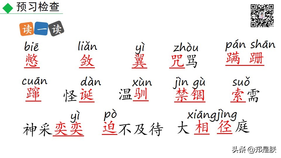 七上人教版第十七课动物笑谈课件,七上语文动物笑谈