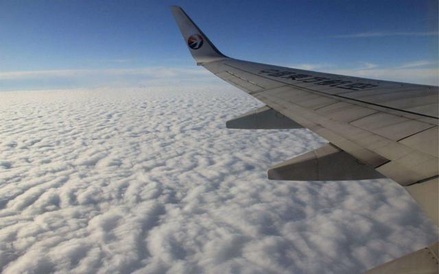 如果飞机没有油从天空降落怎么办,飞机在空中停止不动会掉下来吗