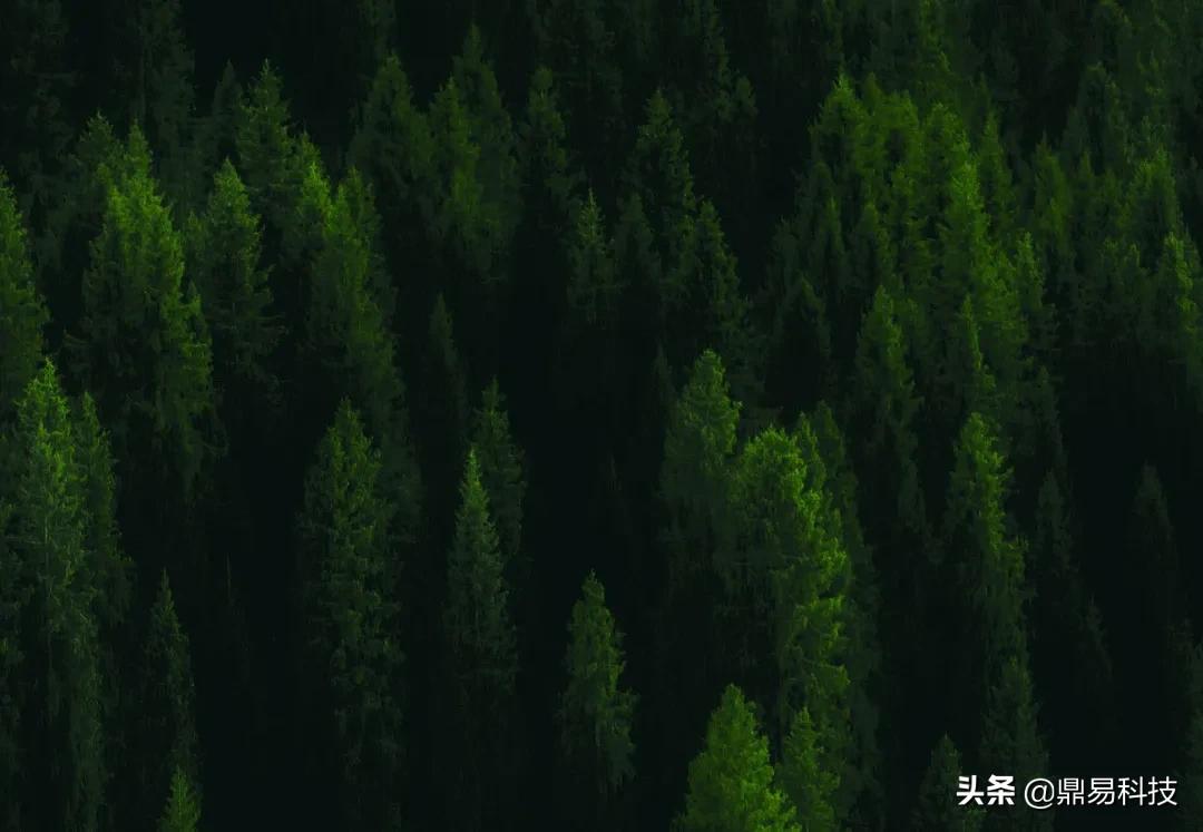 「鼎易网建案例」栾树画室：做一所能够影响孩子一生的好学校