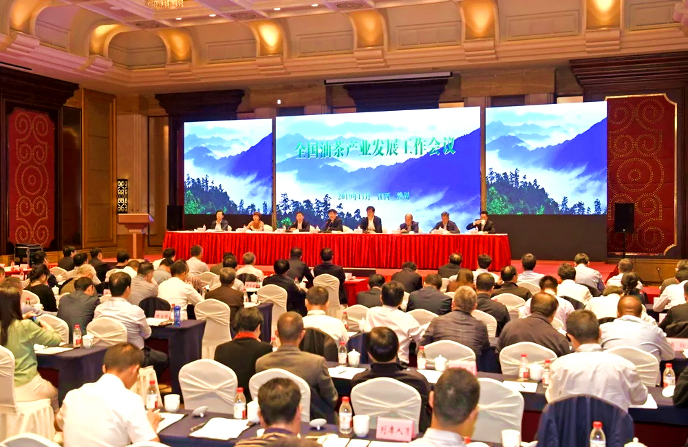 茶油加工车间,山茶油展厅案例