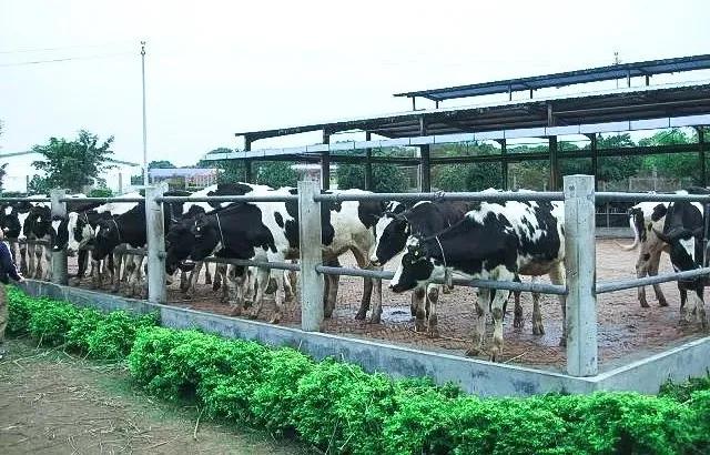 住在深圳光明新区好不好,住光明来南山上班