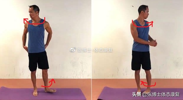 髋关节功能训练功效,髋关节功能障碍的康复训练