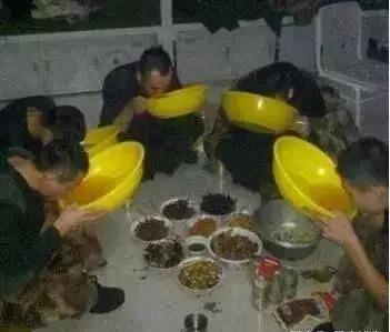 谈谈部队的伙食,谈谈部队伙食