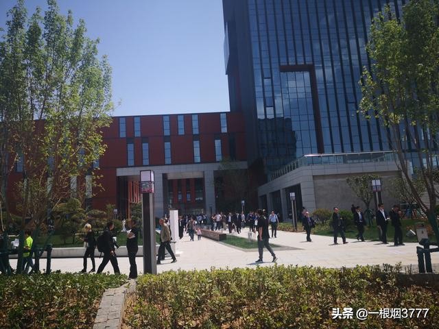 丝绸之路之中国东西部合作——中国酵素城