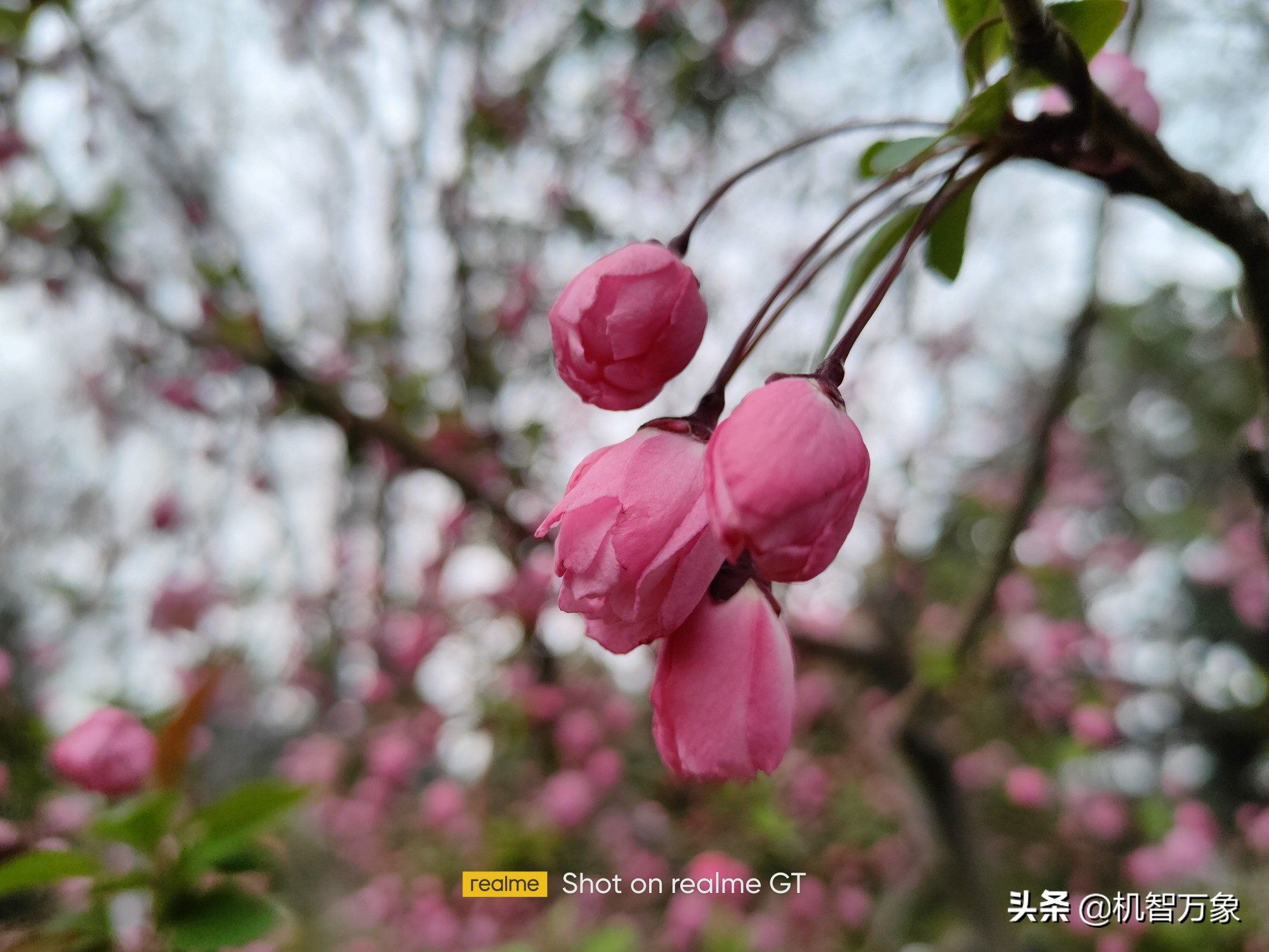 realme真我gt黄色沉浸式开箱,realme全新性能旗舰真我gt发布