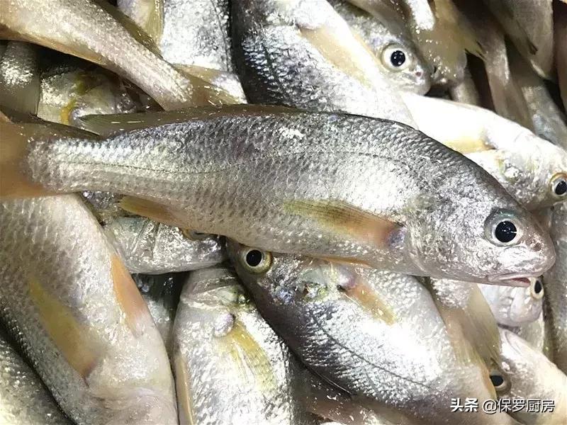 海鲜大荟萃,常见贝壳类海鲜