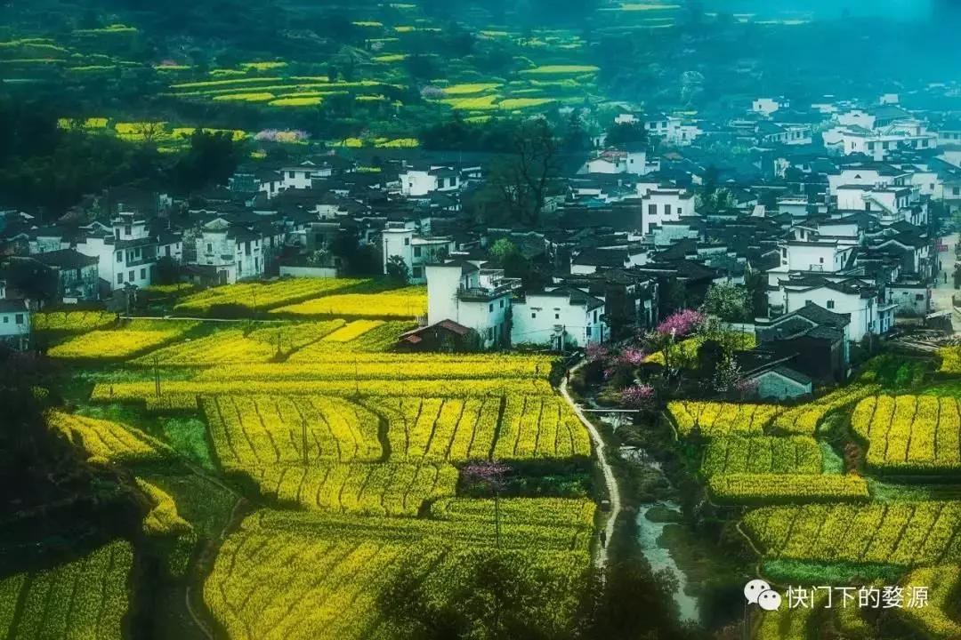花田喜事展,花田喜事农耕创意团购