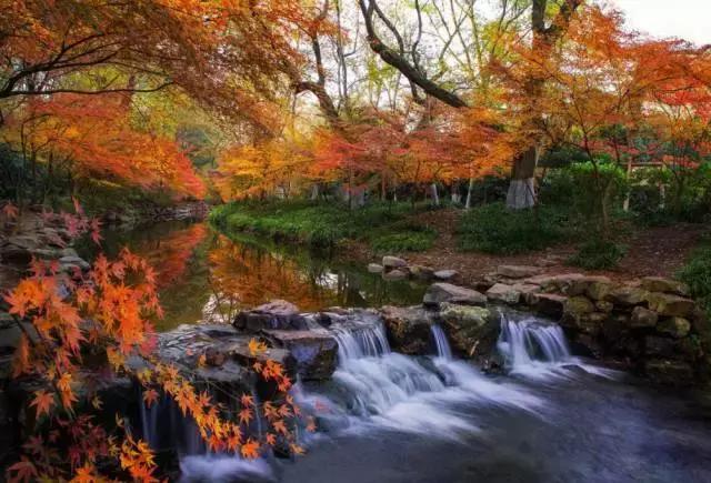 亚洲宜居城市排名2019,中国唯一一个国际评选的宜居城市