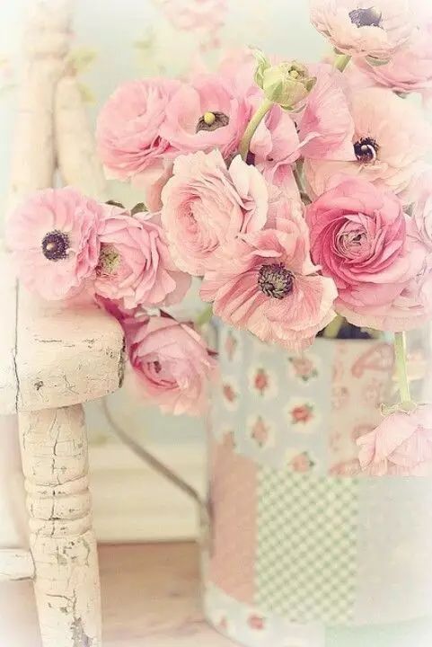 教你怎么学插花,小白零基础怎么学插花