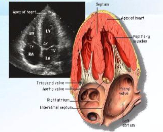 18岁血压135用做检查吗,18岁血压180查什么