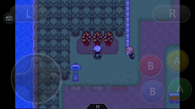 究极绿宝石一周目神兽攻略 (究极绿宝石5一周目能不能mega进化)