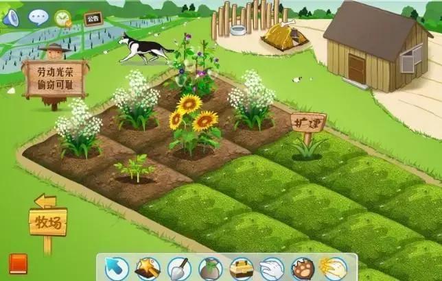 陪伴我13年的QQ宠物，永久下线了，那个小朋友，再见....