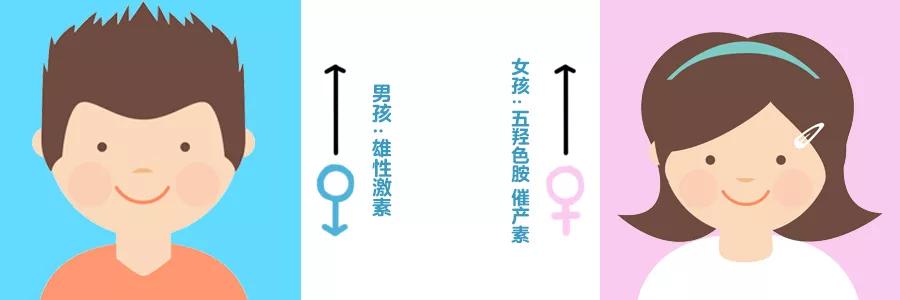 男女大脑发育有先天差异吗,男孩大脑发育和女孩的区别