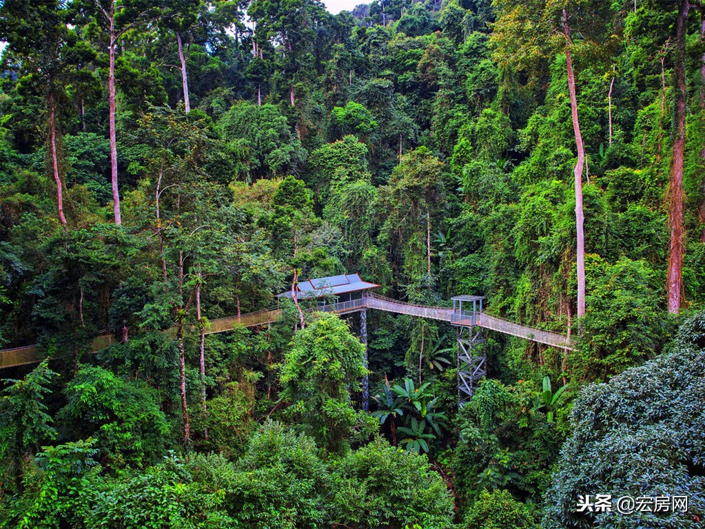 西双版纳景洪金版纳尚城房价,西双版纳房价2021现房有哪些