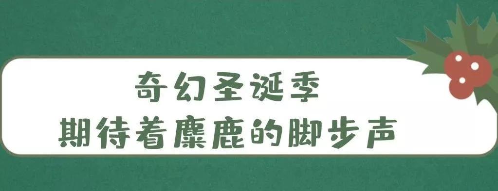 吃在济南|叮~您有一份圣诞套餐驾着麋鹿即将送达