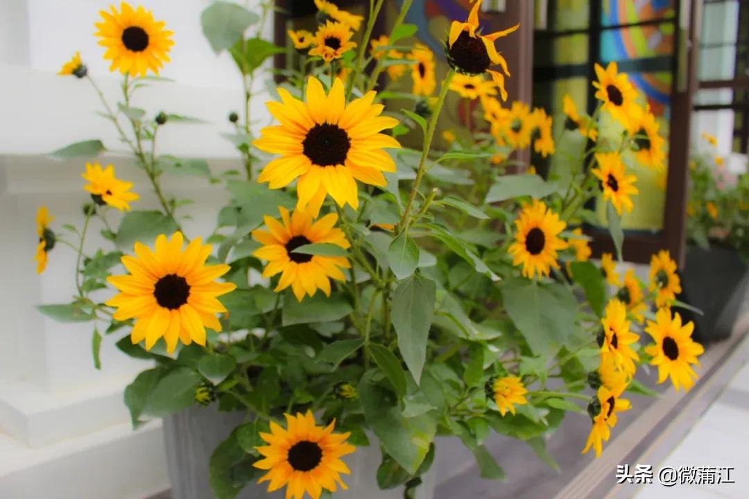 邂逅初冬的西湖,邂逅初冬的美妙韵味