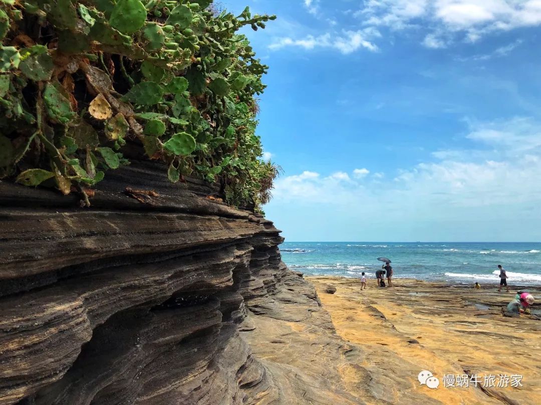 这个南国海岛高铁直达，海鲜超级便宜大人不累、孩子很开心