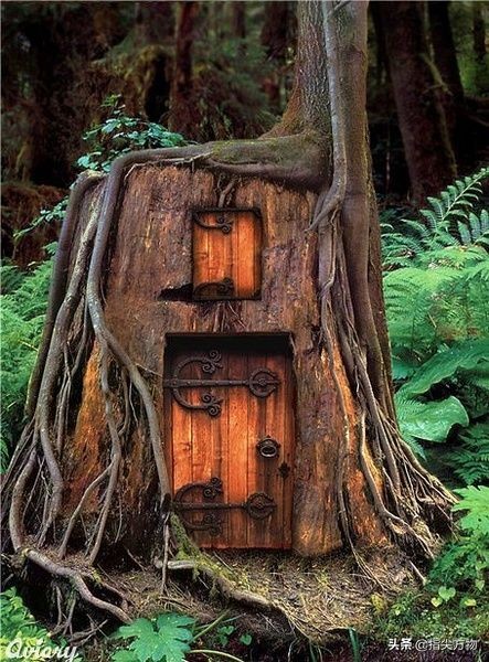 七分天注定三分靠打拼云南,真正的根雕手艺