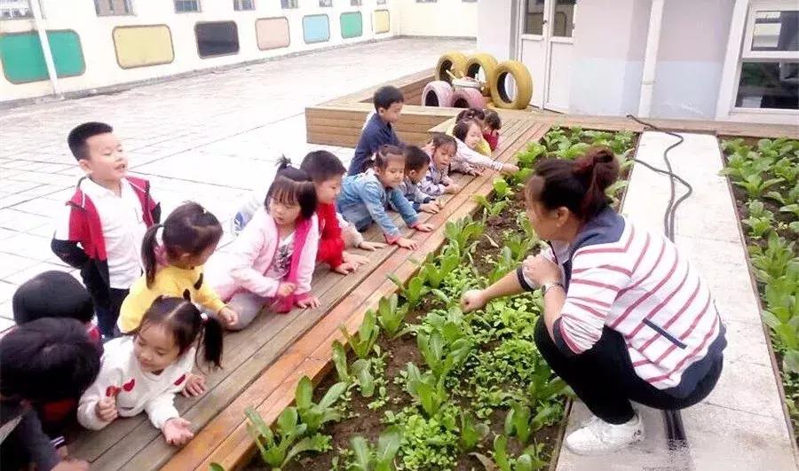 特色幼儿园活动区,高端幼儿园特色活动