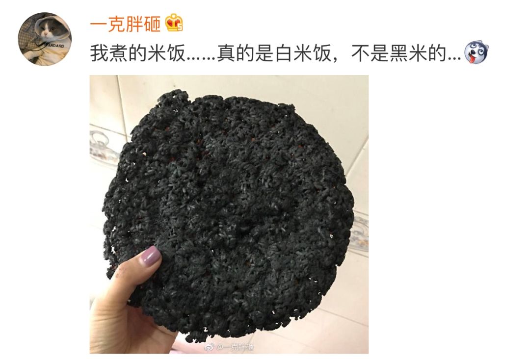 零基础小白怎么学做饭,新手如何从零开始学会做菜