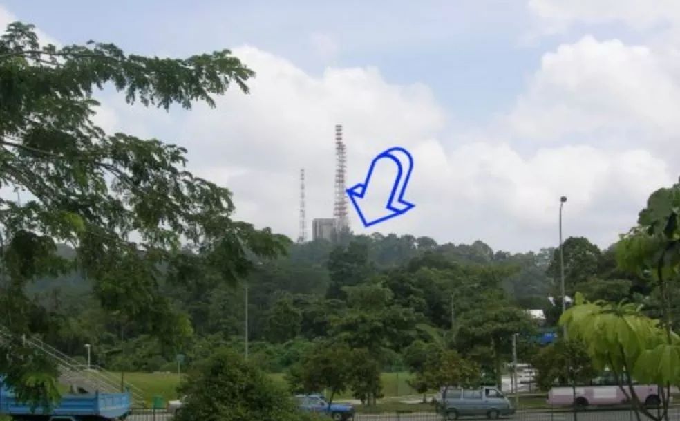 新加坡人口为什么这么少,新加坡最新人口比例