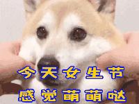 女生节！聊天不用打字的动态表情图片大全