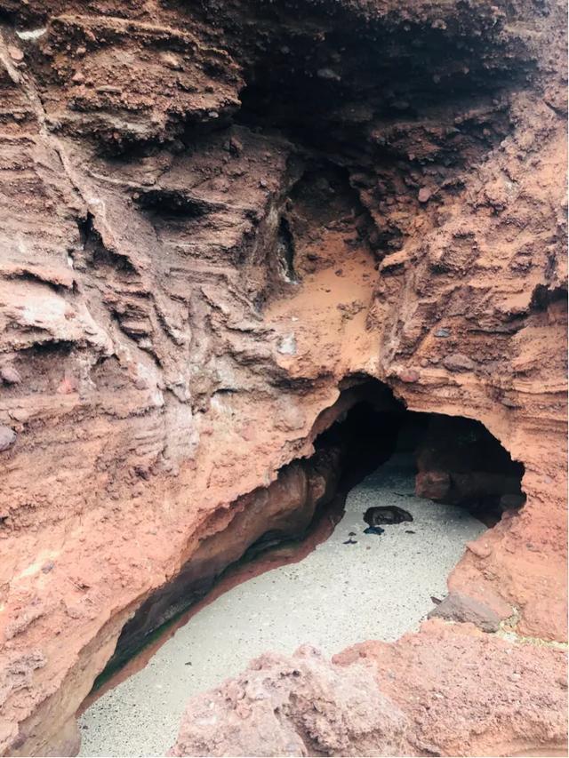 成都到涠洲岛旅游攻略自由行,成都去北海涠洲岛旅游攻略