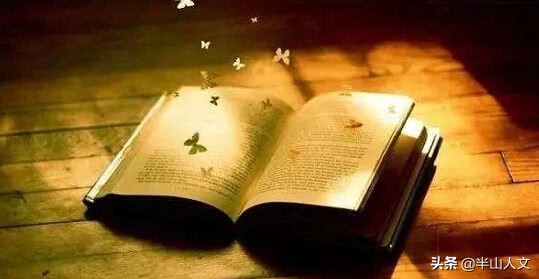 半山故事丨与网友侃写作