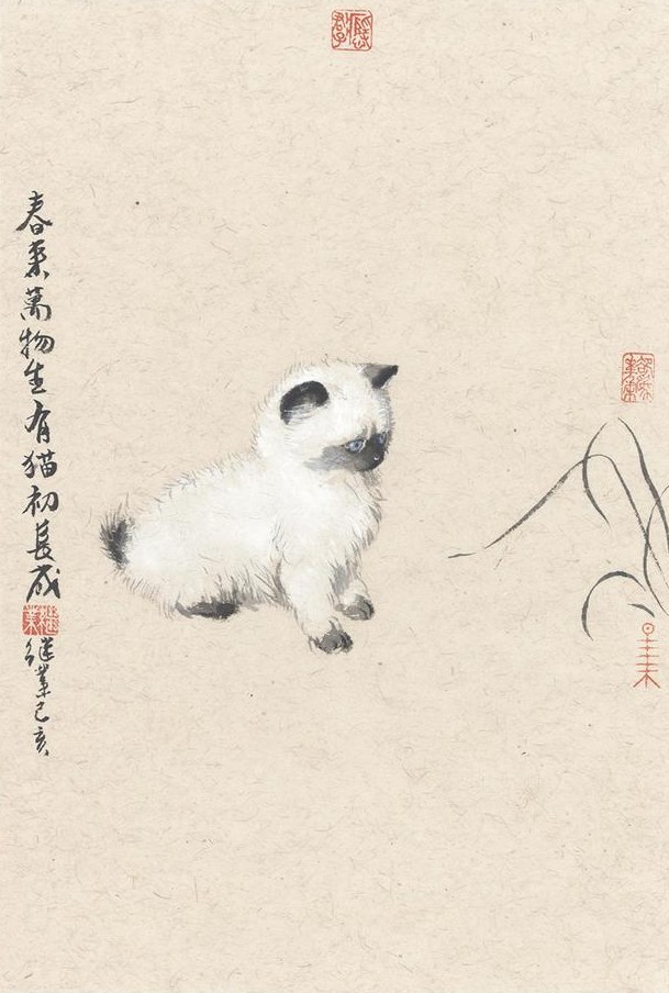 他画的猫，内心戏十足，还是个段子手，着实有趣