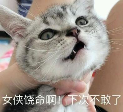 女玩家到底有多可怕,女玩家到底能有多魔怔