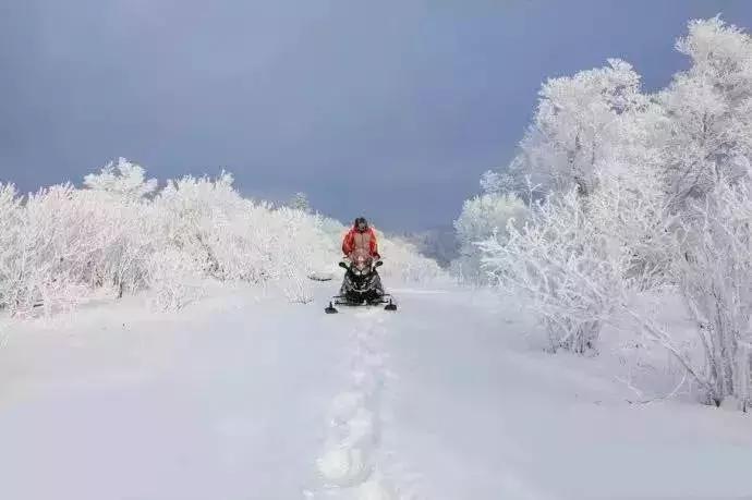 你敢不敢来男版,你敢不敢去东北冬游