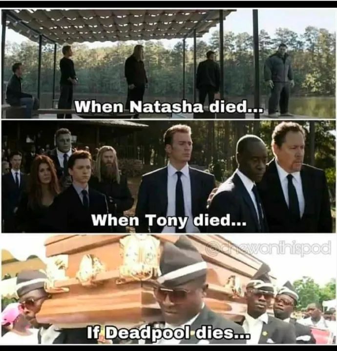 单身狗秀恩爱,单身狗的520秀恩爱