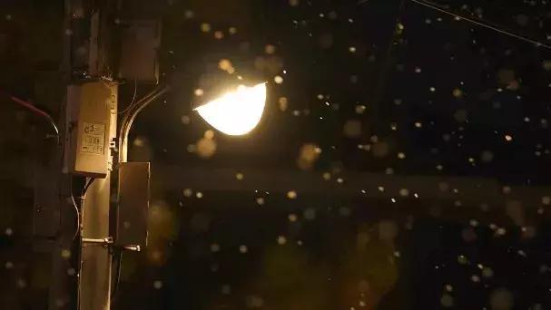 豆瓣8.9分的韩剧有哪些,豆瓣8.7分2020年第一部催泪韩剧