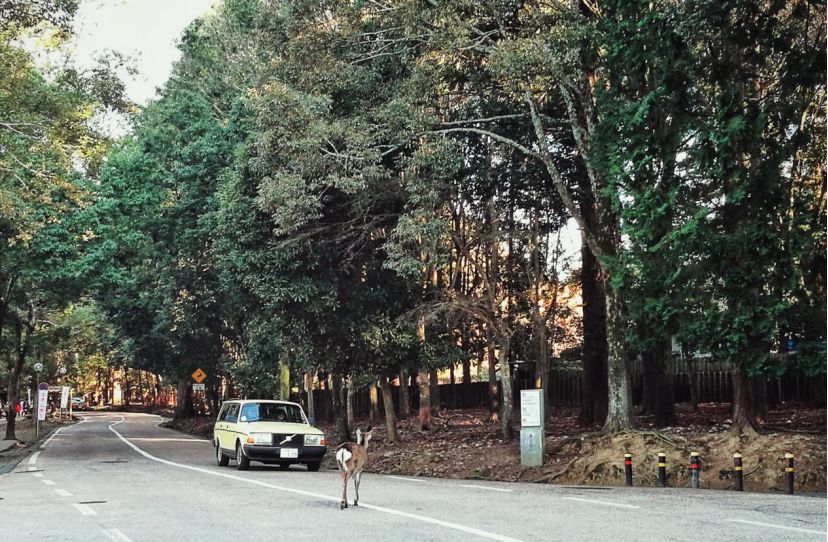 王思聪李易峰综艺节目,王思聪李易峰玩游戏