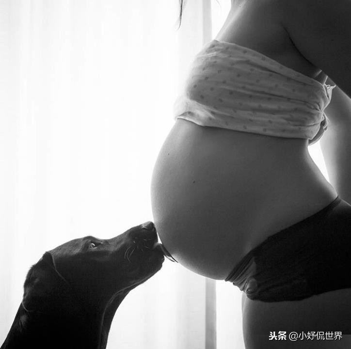 能闻到狗狗的体香,狗狗有哪些东西不能闻