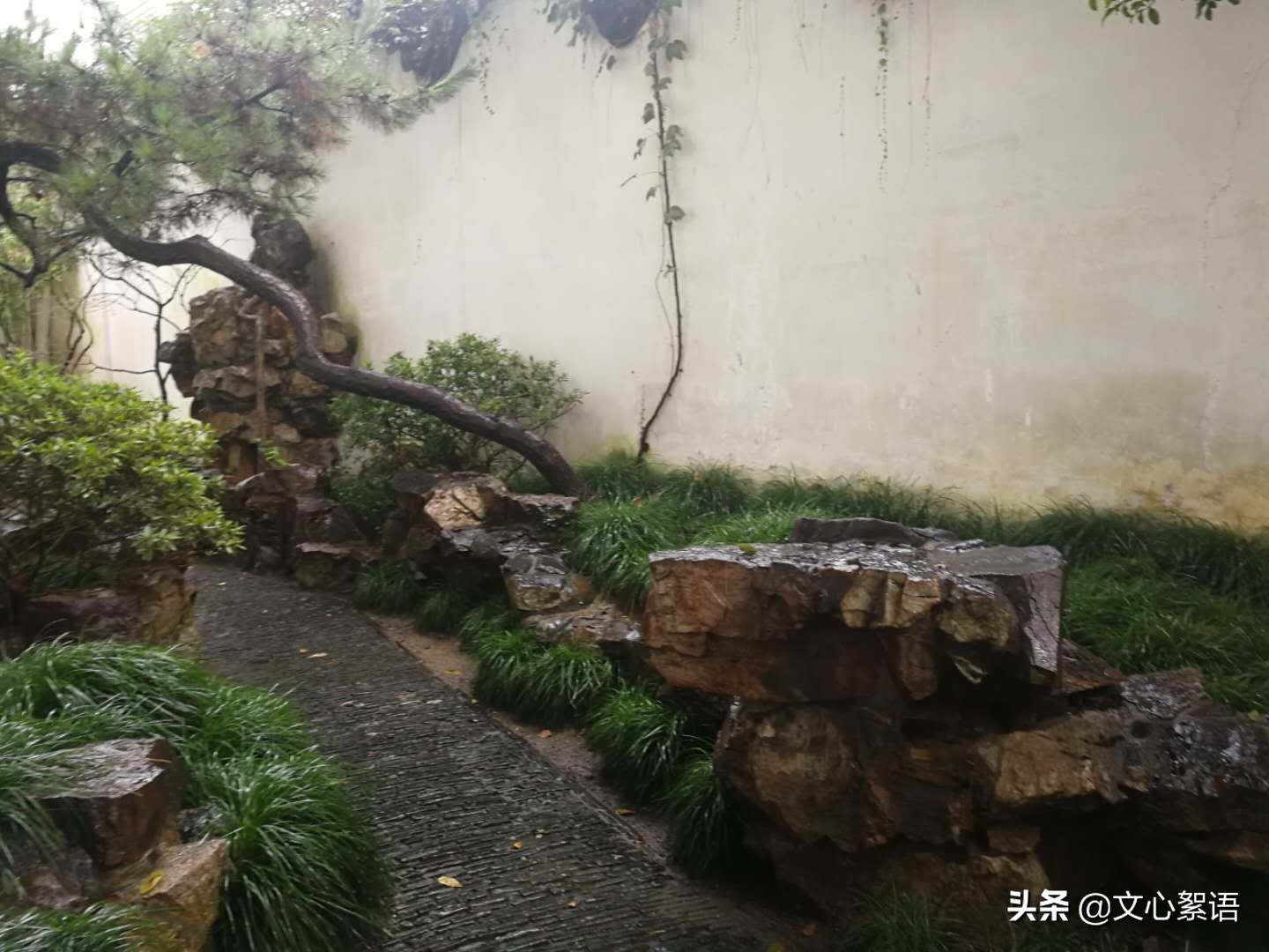 苏州园林一日游价格,苏州园林景点门票多少钱