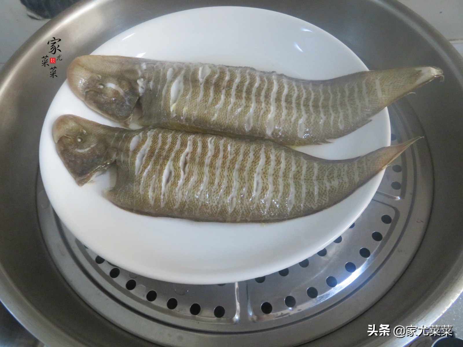 家常最好吃的海鱼,清蒸海鱼选什么鱼好吃