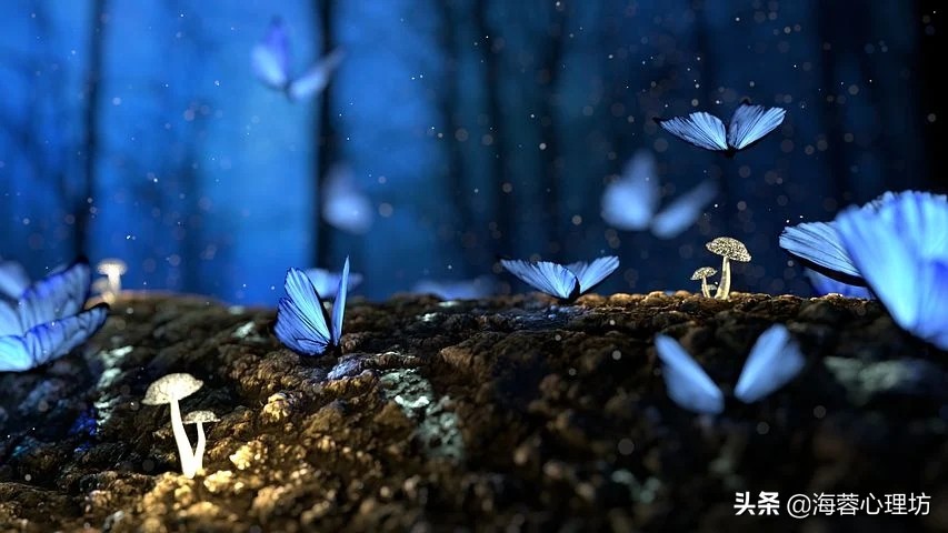 解梦方法大全心理学,心理学教你做到这4点