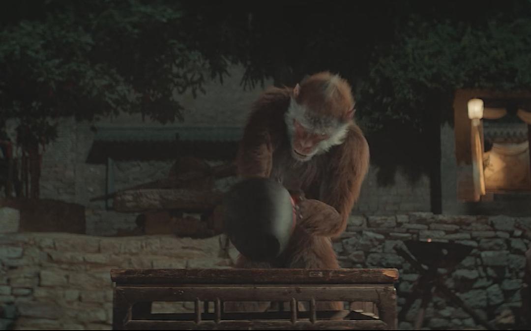 2021年最吓人国产惊悚片,2021年国产惊悚片