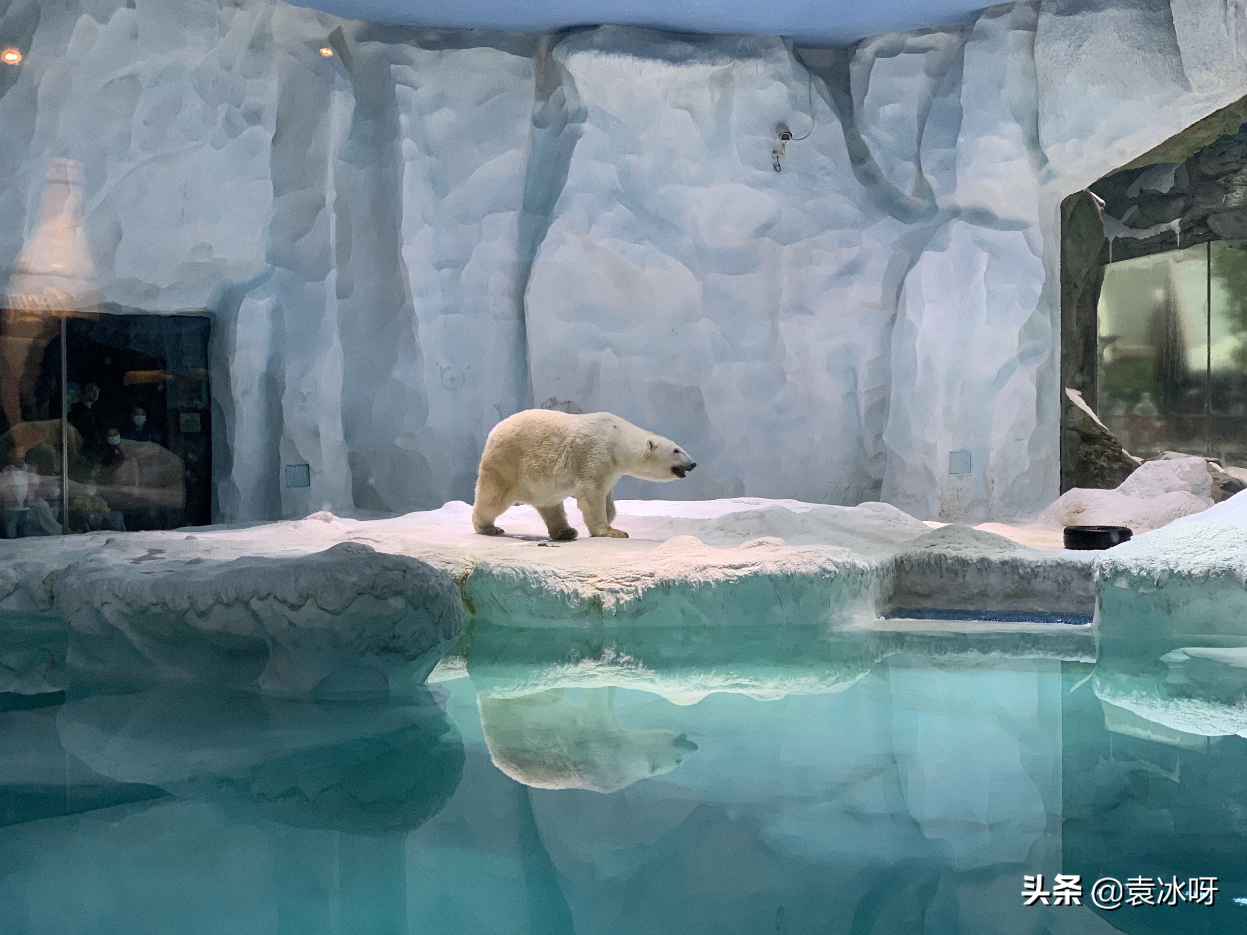 珠海长隆海洋王国一日攻略,珠海长隆海洋王国停车场攻略