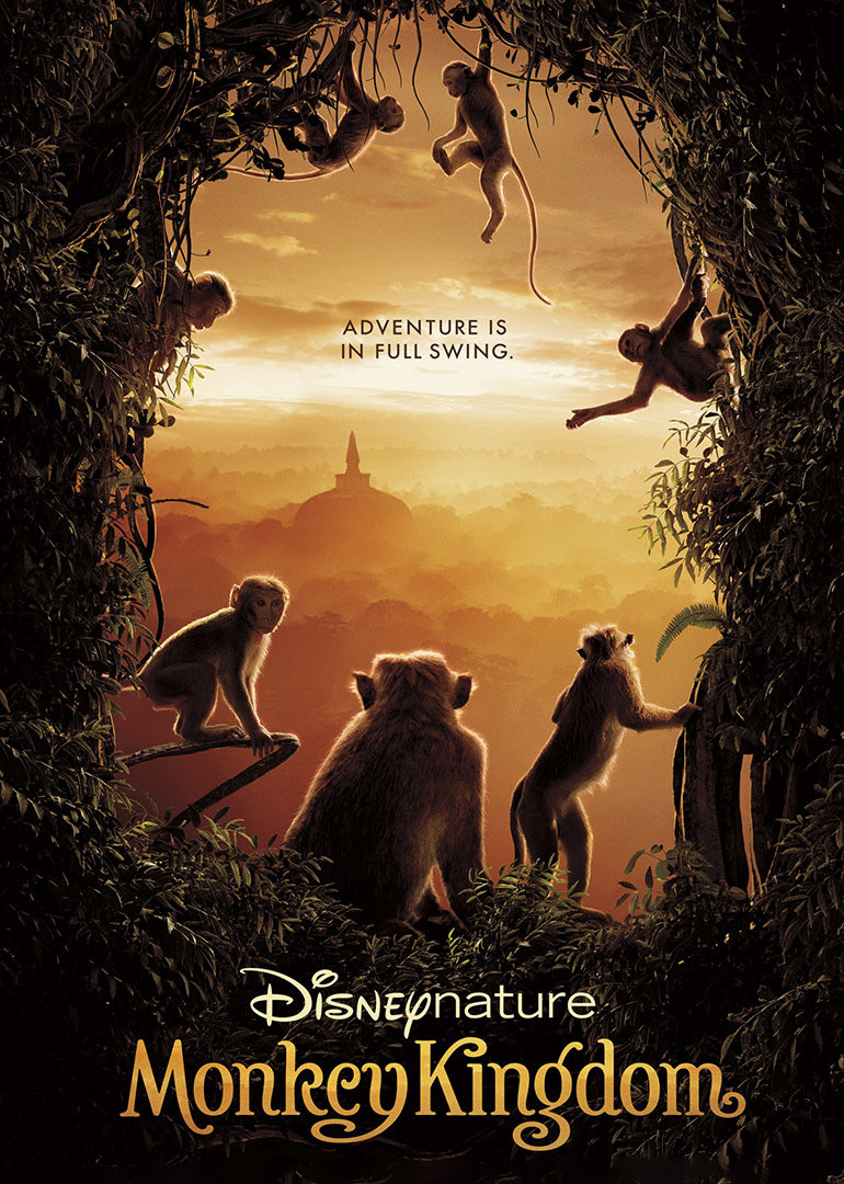 主题育儿第4期:猴哥来啦!5大分科N个方案,犒劳爱Monkey的娃