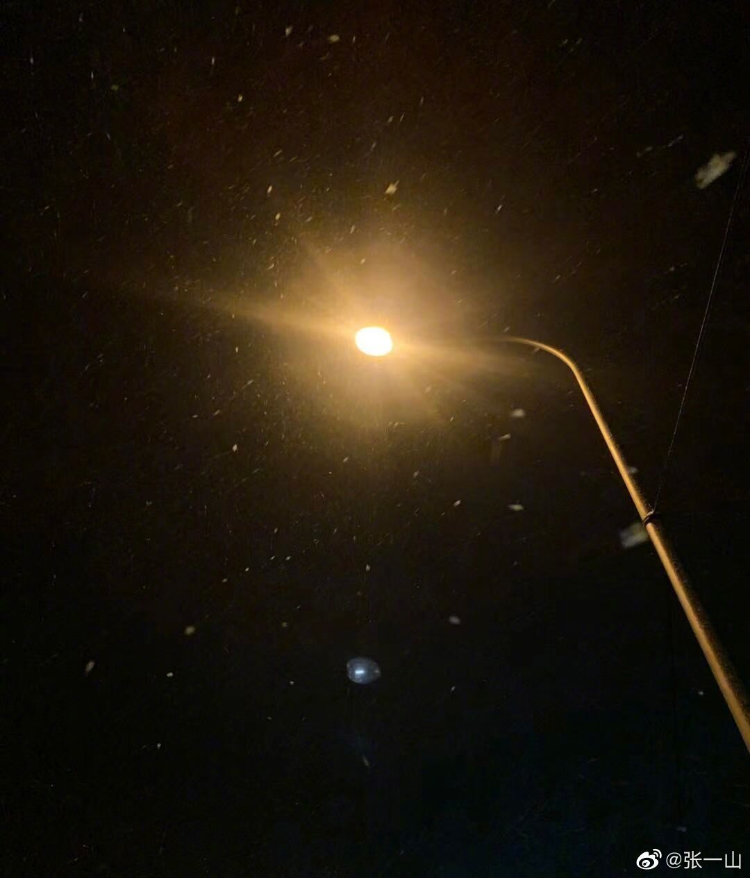 张一山谈对杨紫的看法甜到爆,张一山对杨紫说的第一句话