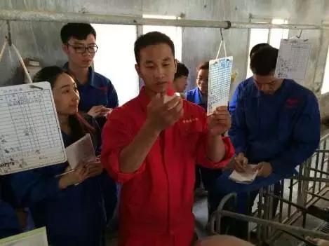 输精法的技术要点和注意事项,深部输精的正确操作