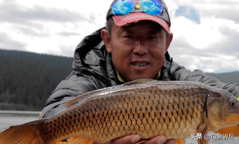 钓鱼剩的蓝鲫饵料怎么办,钓鱼剩下的虾饵怎么办