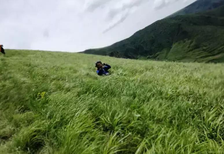 风里来雨里去上海,风里来雨里去重庆