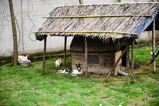 乌村暑期夏令营，吃喝玩乐在这里