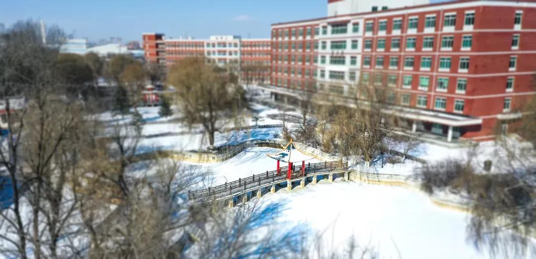 沈阳化工大学辽宁省排名,沈阳化工大学2020招生计划辽宁省