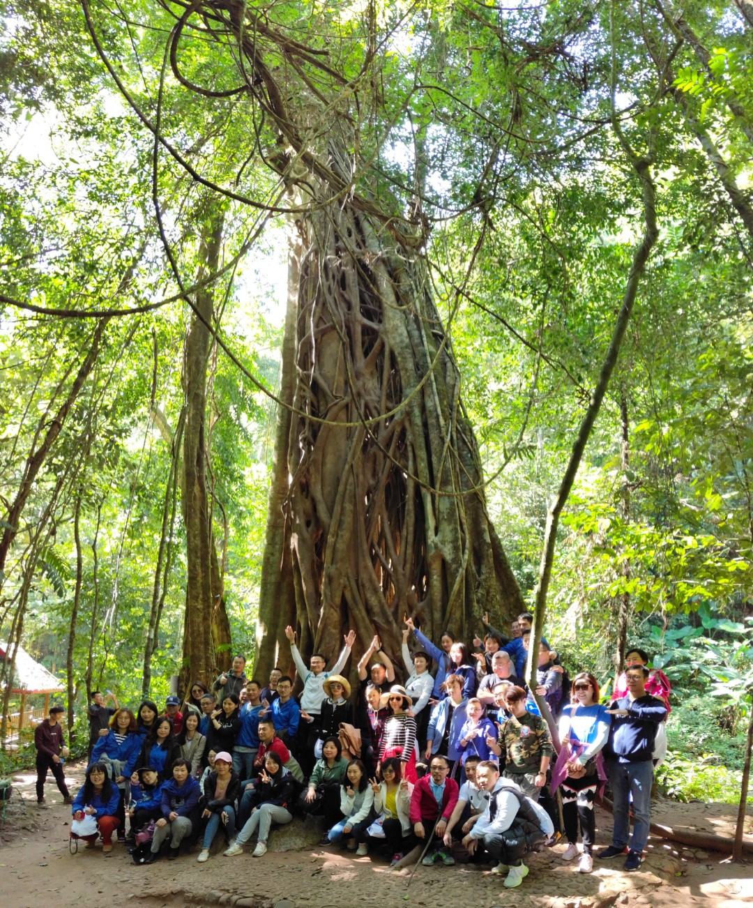 热带雨林犯罪,热带雨林案件最新结果