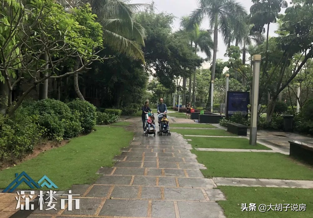 宝安买房在哪个板块好,在宝安刚需怎么买房